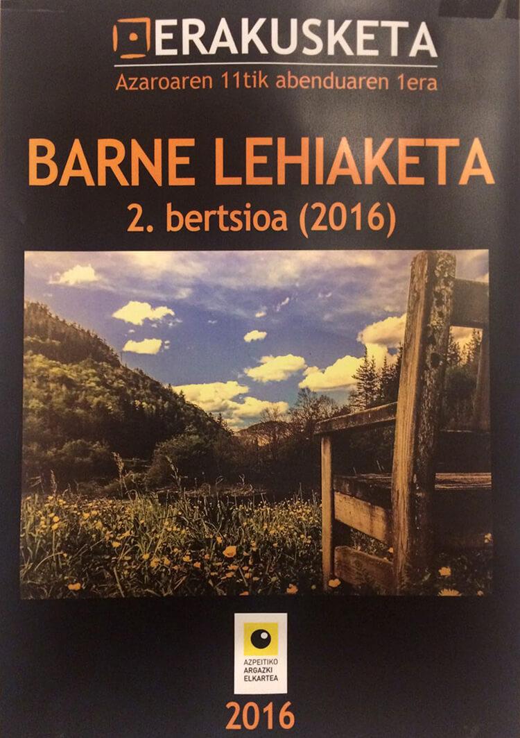 barne lehiaketa 2016