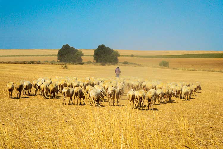 baserri-giroa-beloki